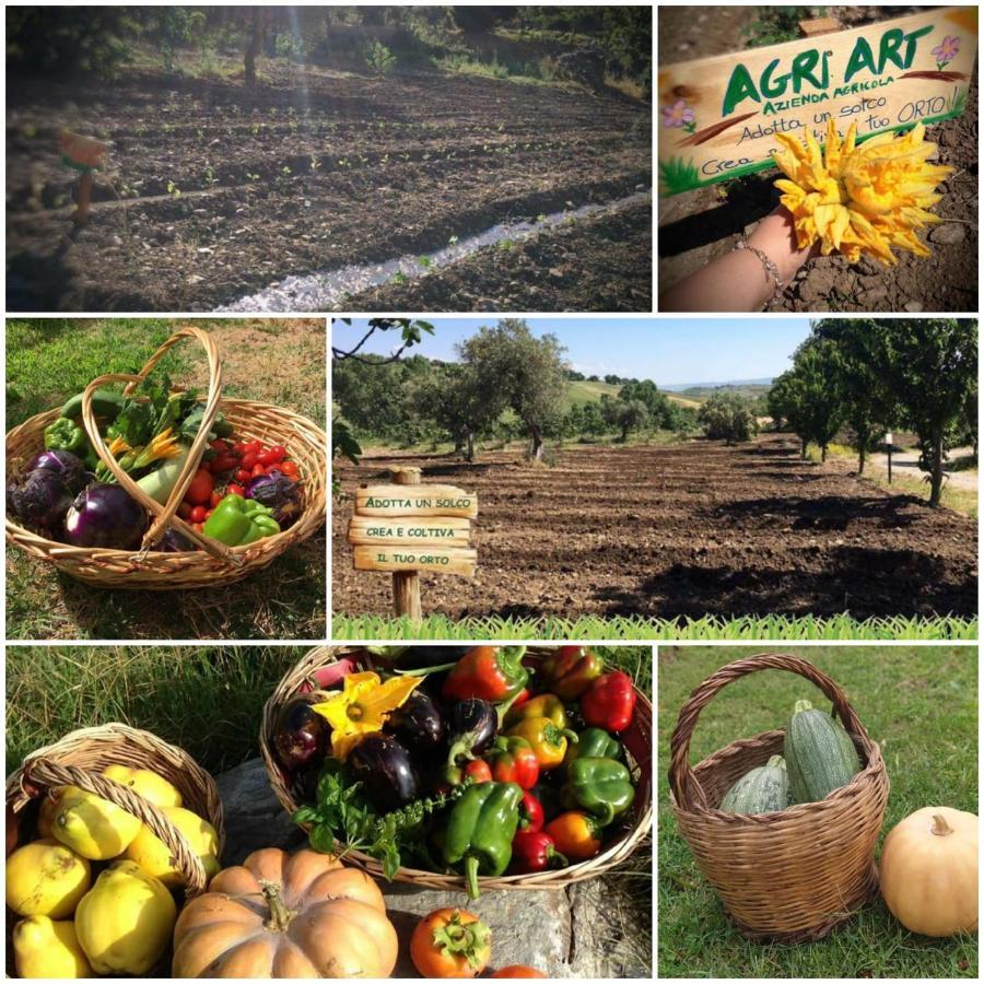 Agri Art Villa San Benedetto Ullano Kültér fotó