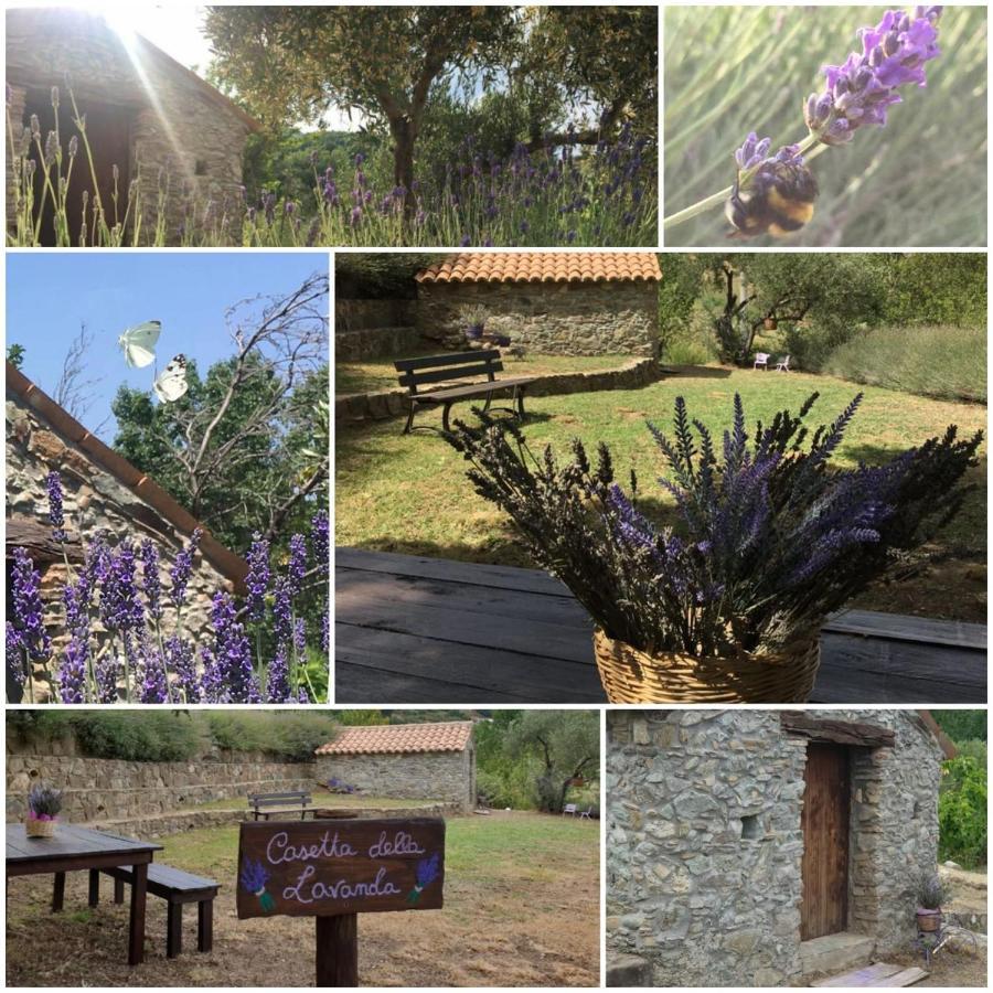 Agri Art Villa San Benedetto Ullano Kültér fotó