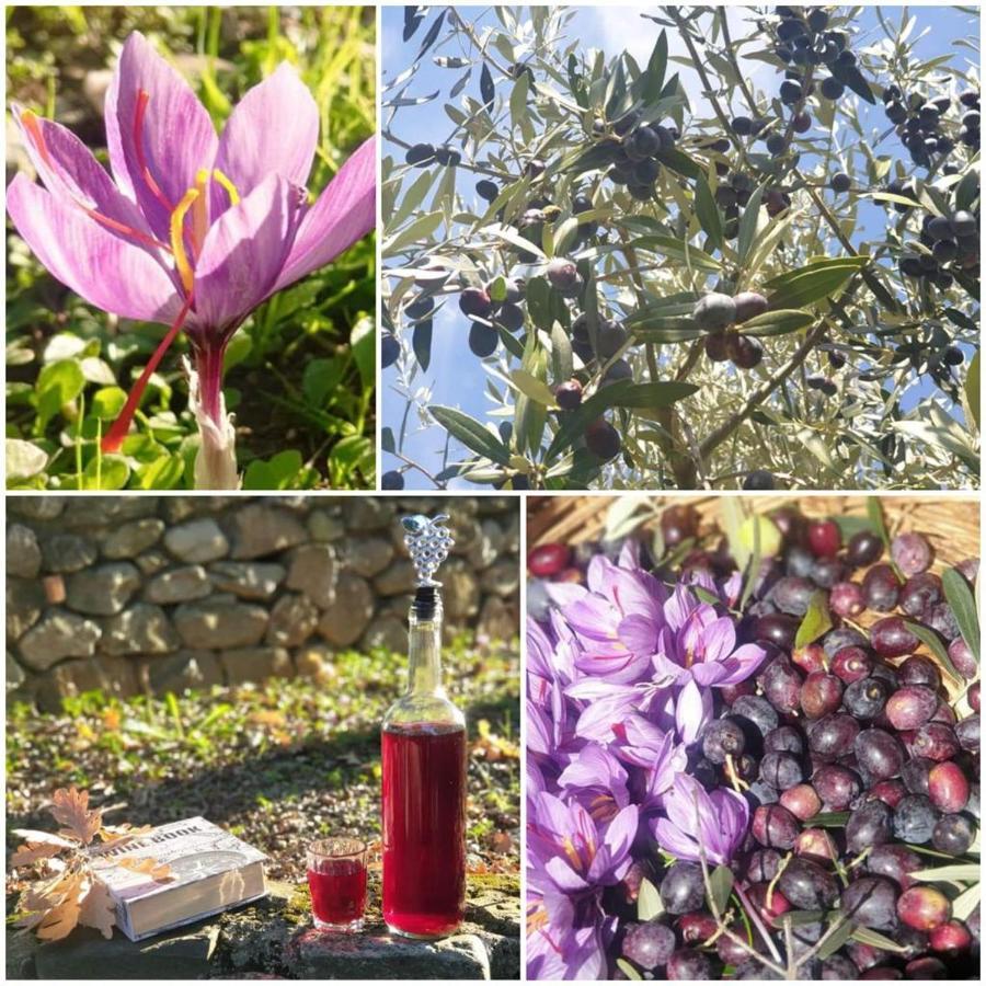 Agri Art Villa San Benedetto Ullano Kültér fotó