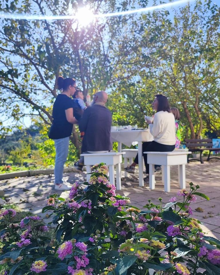 Agri Art Villa San Benedetto Ullano Kültér fotó